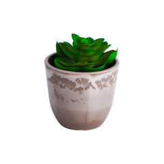 Alamkari India Fabric Artificial Potted Succulents (Set of 3)