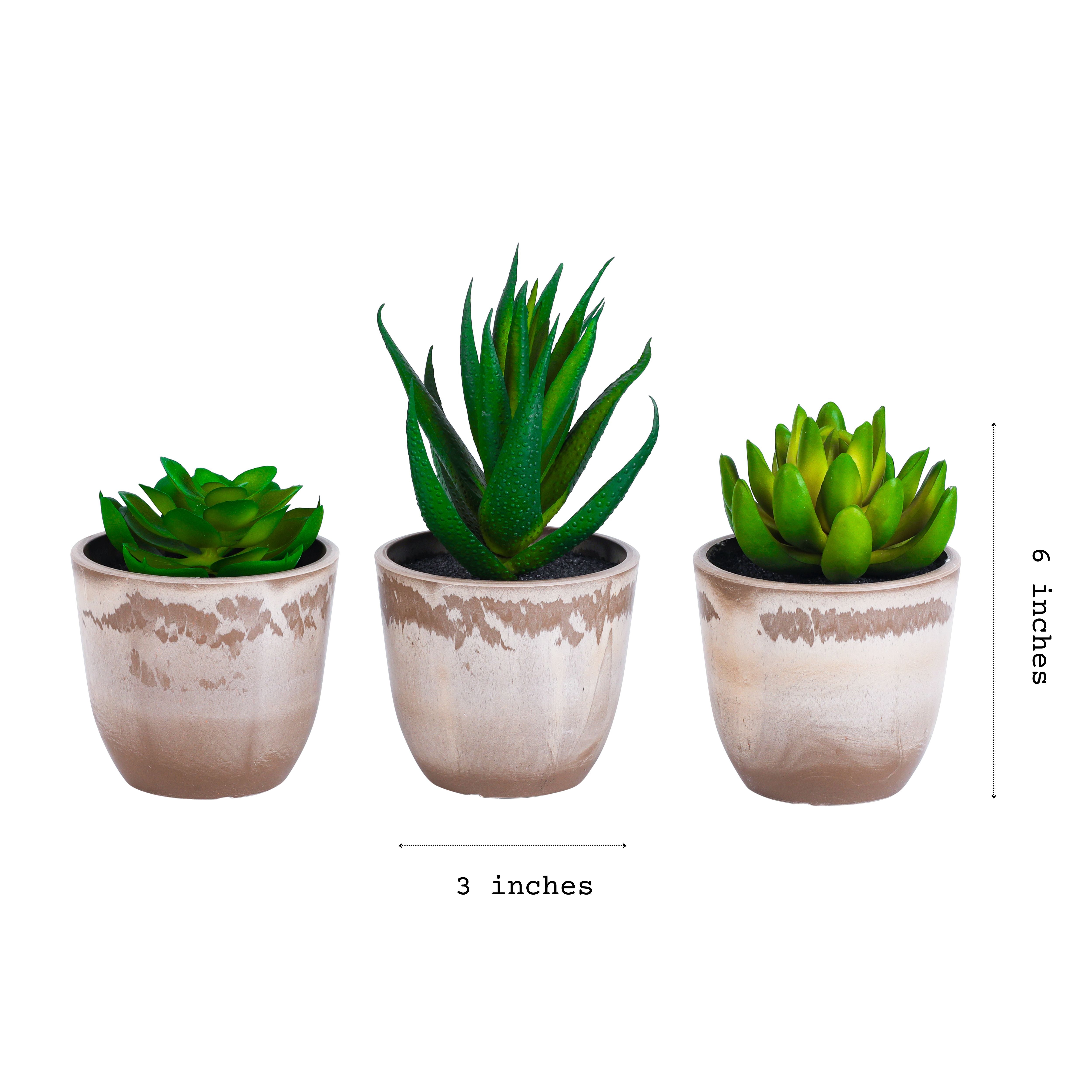 Alamkari India Fabric Artificial Potted Succulents (Set of 3)