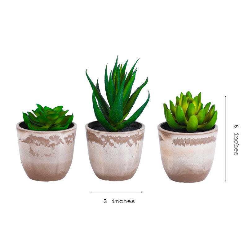 Alamkari India Fabric Artificial Potted Succulents (Set of 3)