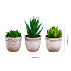 Alamkari India Fabric Artificial Potted Succulents (Set of 3)