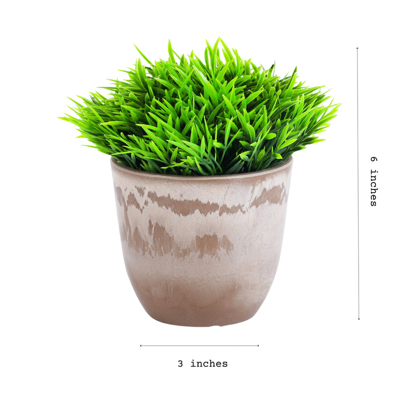 Alamkari India Fabric Artificial Potted Topiary Bush (Set of 2, 15 cm)