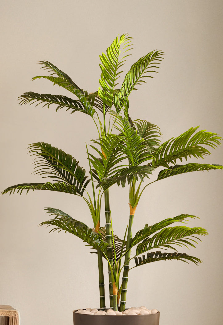 Alamkari India Fabric & Plastic Artificial Areca Palm Plant in Black Pot (150 cm)