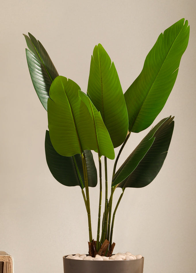 Alamkari India Fabric & Plastic Artificial Banana Plant in Black Pot (120 cm)
