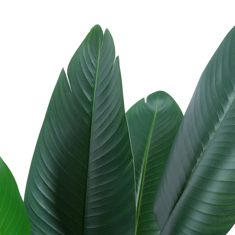 Alamkari India Fabric & Plastic Artificial Banana Plant in Black Pot (120 cm)