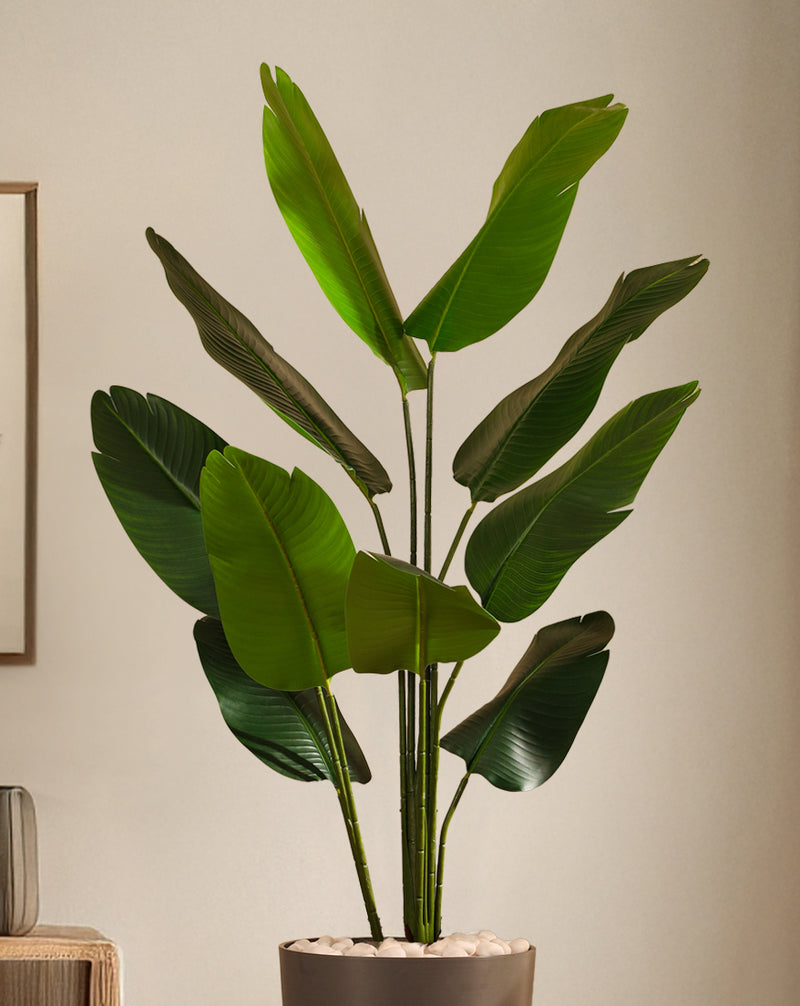 Alamkari India Fabric & Plastic Artificial Banana Plant in Black Pot (160 cm)