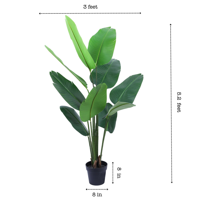 Alamkari India Fabric & Plastic Artificial Banana Plant in Black Pot (160 cm)