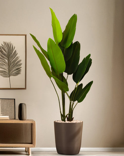 Alamkari India Fabric & Plastic Artificial Banana Plant in Black Pot (180 cm)