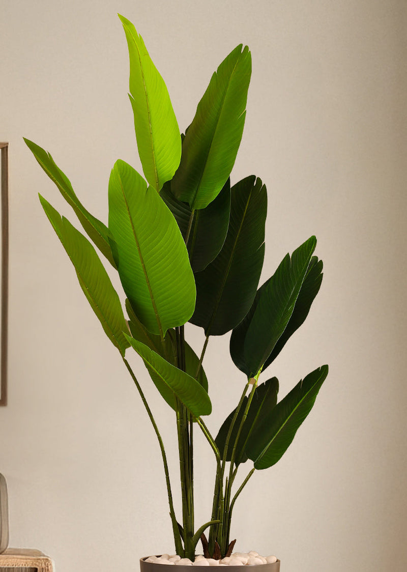 Alamkari India Fabric & Plastic Artificial Banana Plant in Black Pot (180 cm)