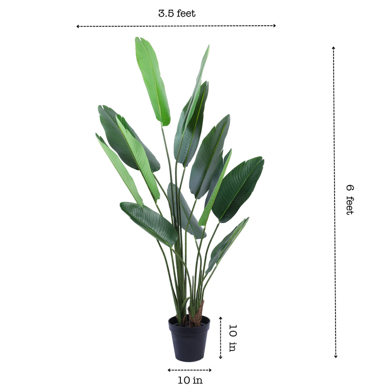 Alamkari India Fabric & Plastic Artificial Banana Plant in Black Pot (180 cm)