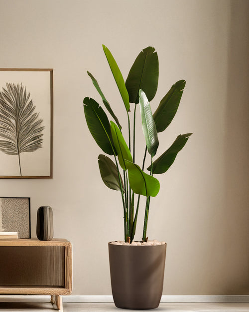 Alamkari India Fabric & Plastic Artificial Banana Tree in Black Pot (150 cm)
