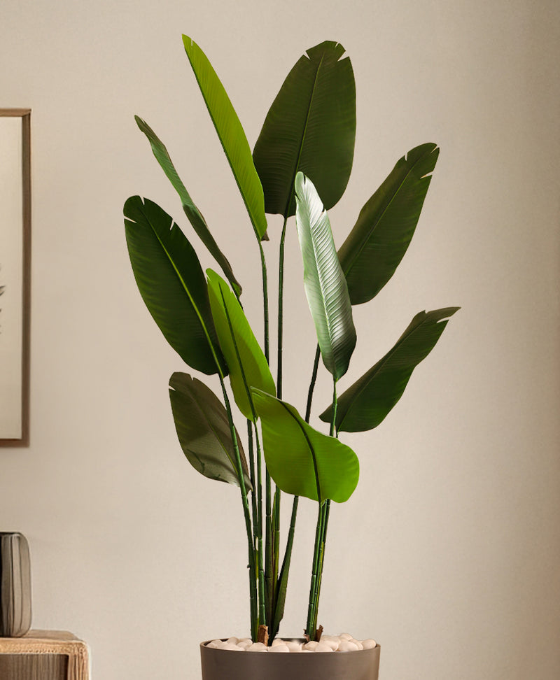 Alamkari India Fabric & Plastic Artificial Banana Tree in Black Pot (150 cm)