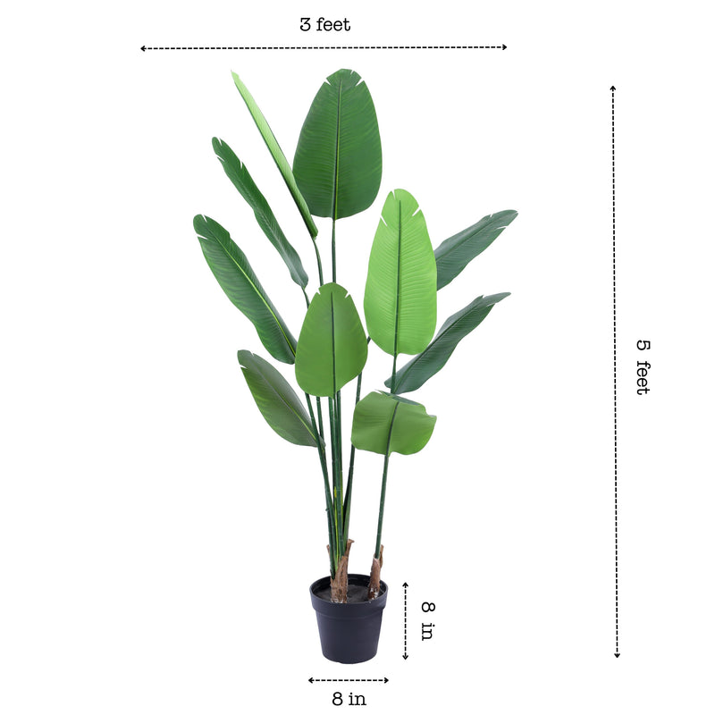 Alamkari India Fabric & Plastic Artificial Banana Tree in Black Pot (150 cm)