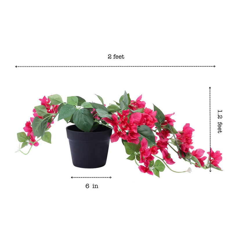 Alamkari India Fabric & Plastic Artificial Bougainvillea Flower Potted Plant (50 cm)