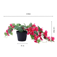 Alamkari India Fabric & Plastic Artificial Bougainvillea Flower Potted Plant (50 cm)