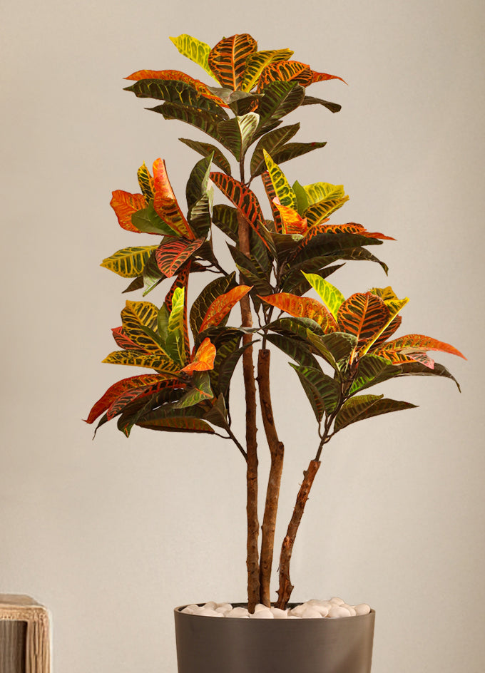 Alamkari India Fabric & Plastic Artificial Croton Plant in Black Pot (120 cm)