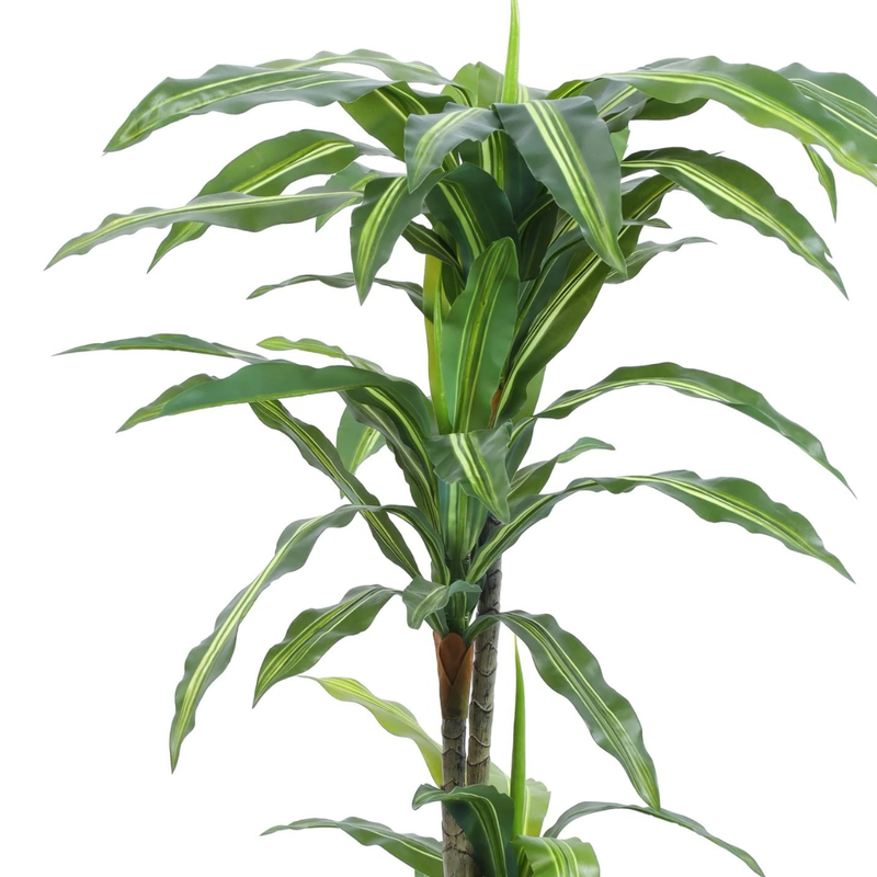 Alamkari India Fabric & Plastic Artificial Dracaena Plant in Black Pot (120 cm)