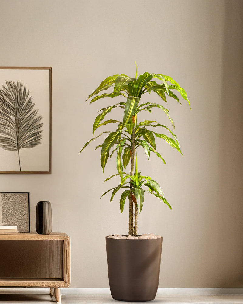 Alamkari India Fabric & Plastic Artificial Dracaena Plant in Black Pot (120 cm)