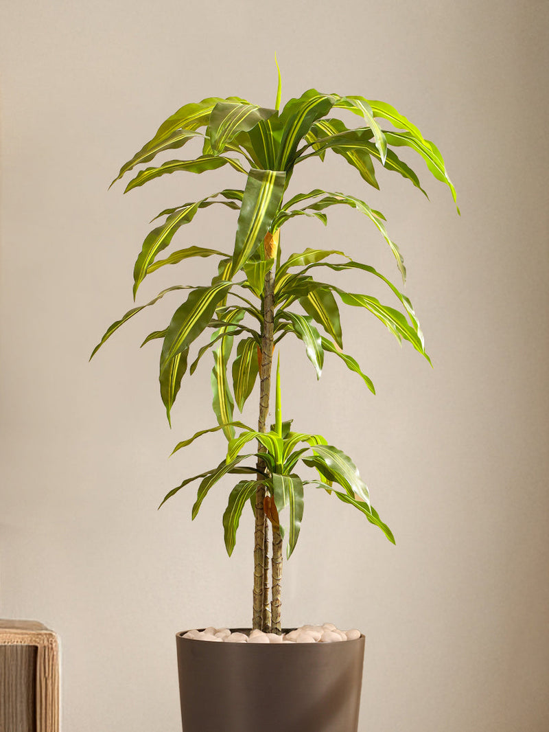 Alamkari India Fabric & Plastic Artificial Dracaena Plant in Black Pot (120 cm)