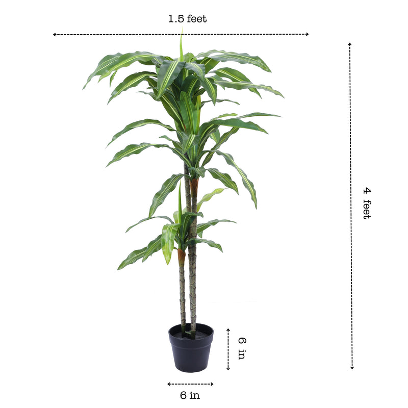 Alamkari India Fabric & Plastic Artificial Dracaena Plant in Black Pot (120 cm)