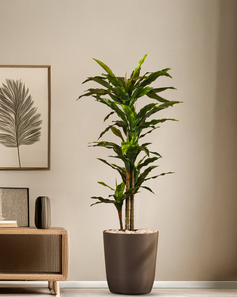 Alamkari India Fabric & Plastic Artificial Dracaena Plant in Black Pot (170 cm)