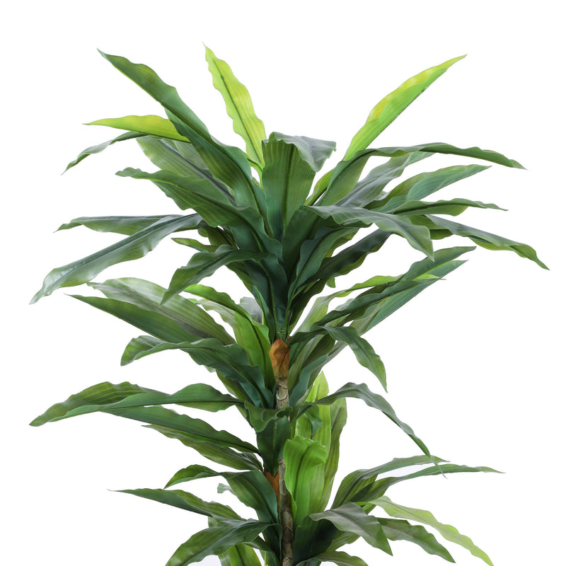 Alamkari India Fabric & Plastic Artificial Dracaena Plant in Black Pot (170 cm)