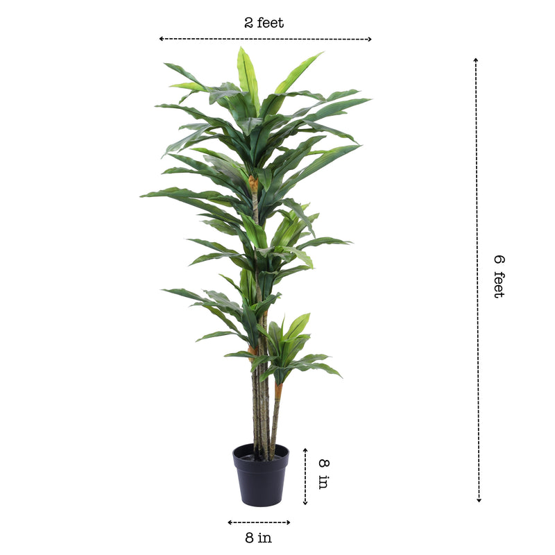 Alamkari India Fabric & Plastic Artificial Dracaena Plant in Black Pot (170 cm)