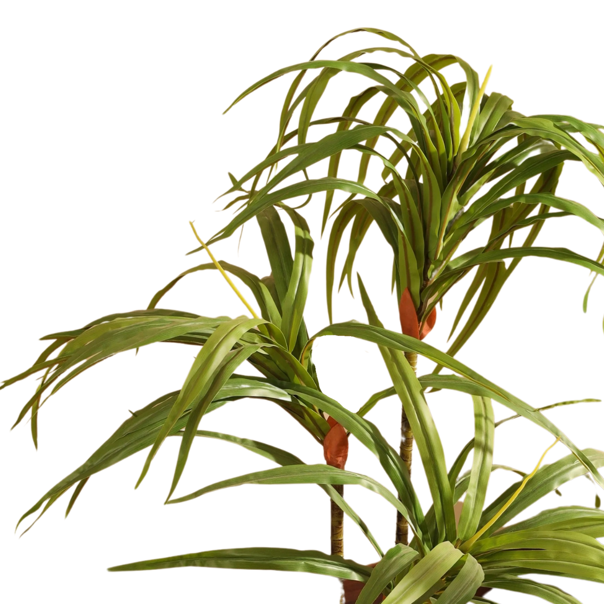 Alamkari India Fabric & Plastic Artificial Dracaena Plant in Black Pot (90 cm)