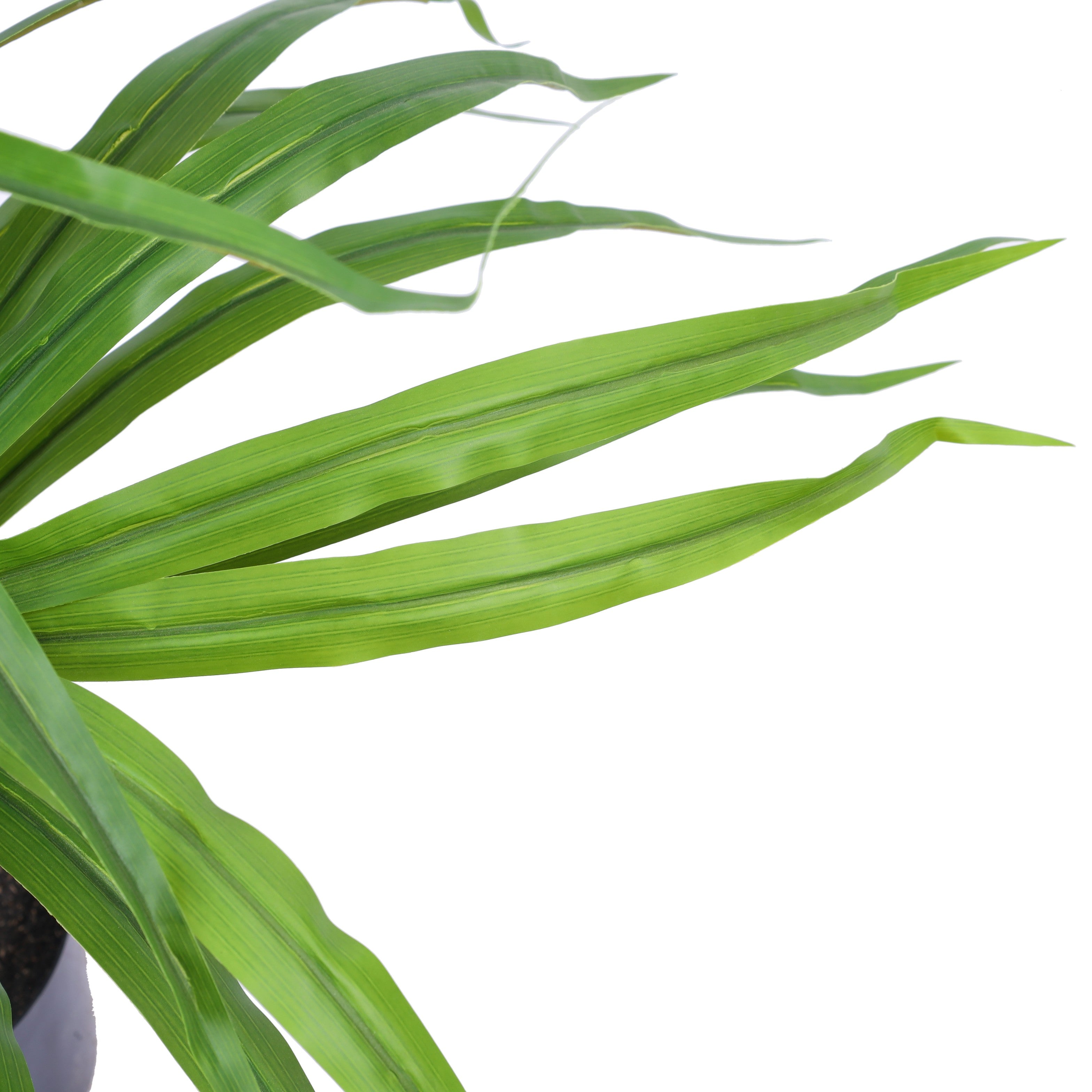 Alamkari India Fabric & Plastic Artificial Dracaena Plant in Black Pot (90 cm)