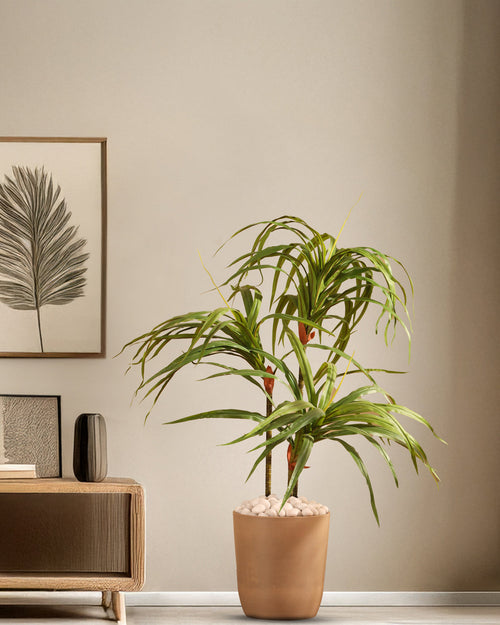 Alamkari India Fabric & Plastic Artificial Dracaena Plant in Black Pot (90 cm)