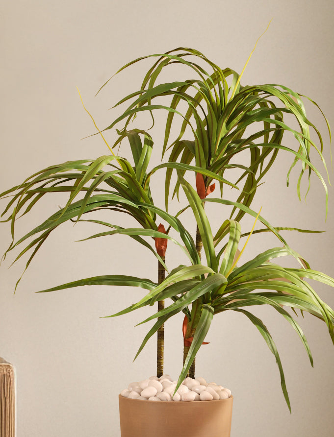 Alamkari India Fabric & Plastic Artificial Dracaena Plant in Black Pot (90 cm)