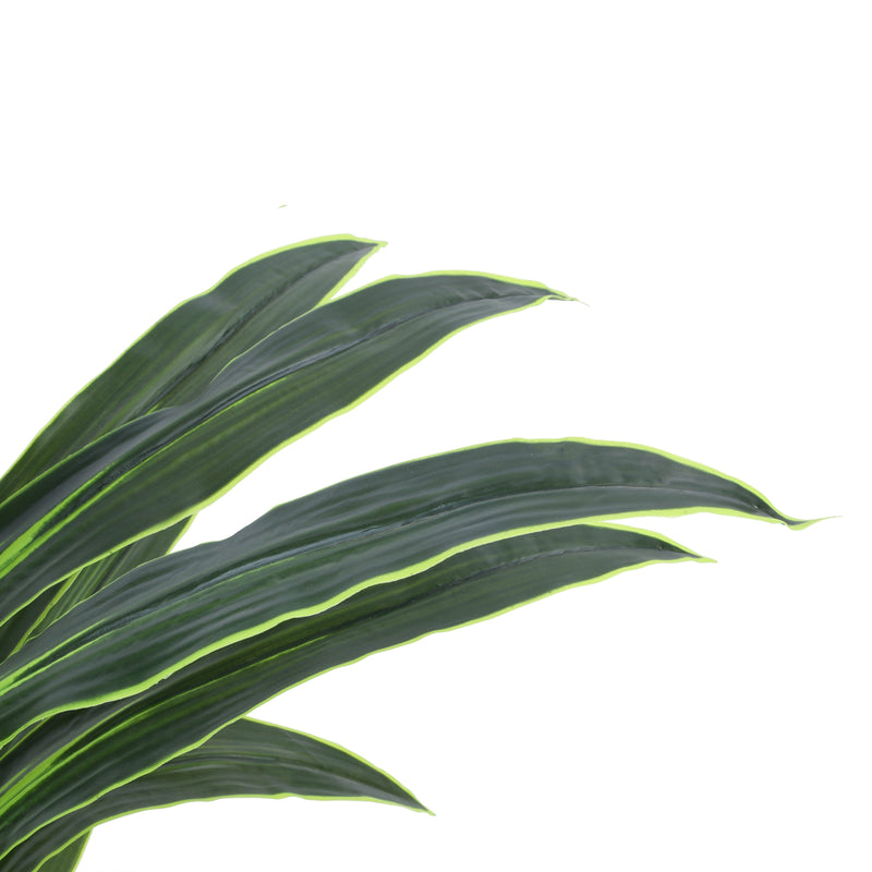 Alamkari India Fabric & Plastic Artificial Dragon Plant in Black Pot (120 cm)