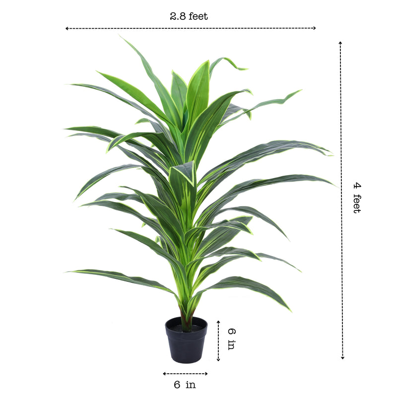 Alamkari India Fabric & Plastic Artificial Dragon Plant in Black Pot (120 cm)