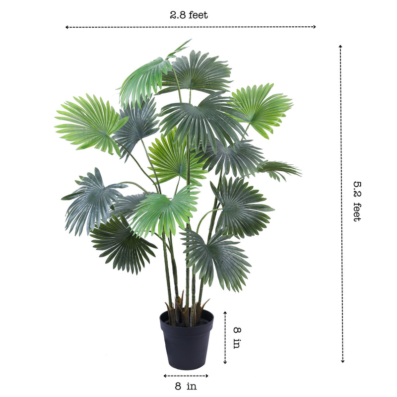 Alamkari India Fabric & Plastic Artificial Fan Palm in Black Pot (160 cm)