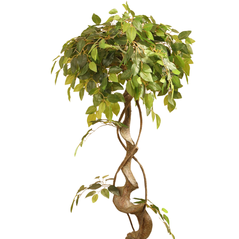 Alamkari India Fabric & Plastic Artificial Ficus Bonsai in Black Pot (120 cm)