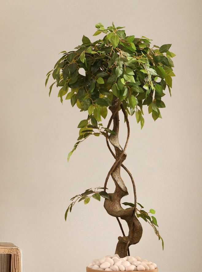 Alamkari India Fabric & Plastic Artificial Ficus Bonsai in Black Pot (120 cm)
