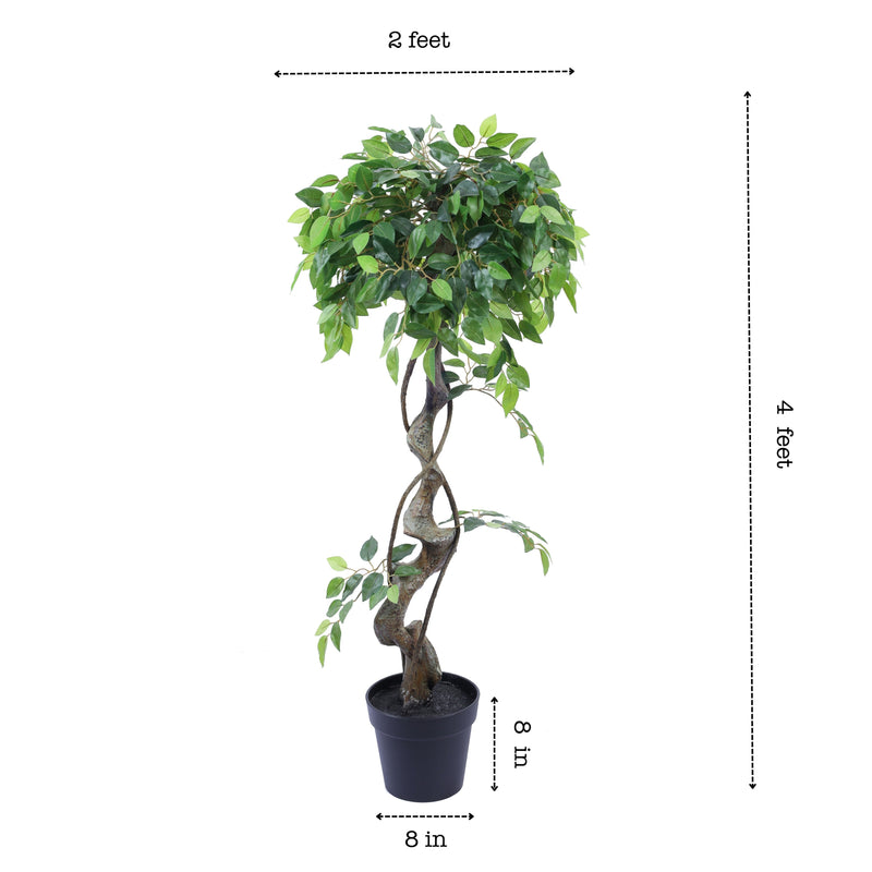 Alamkari India Fabric & Plastic Artificial Ficus Bonsai in Black Pot (120 cm)