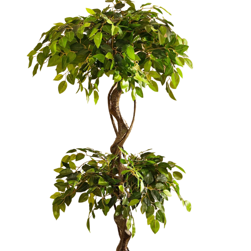 Alamkari India Fabric & Plastic Artificial Ficus Bonsai in Black Pot (150 cm)