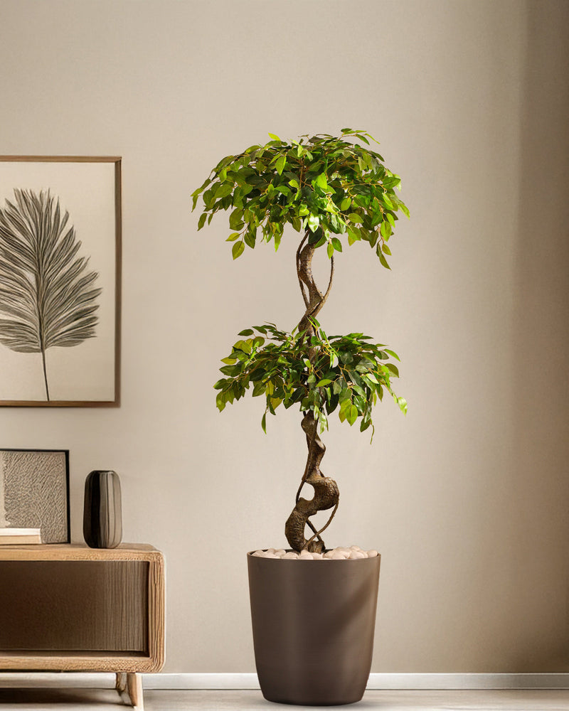 Alamkari India Fabric & Plastic Artificial Ficus Bonsai in Black Pot (150 cm)