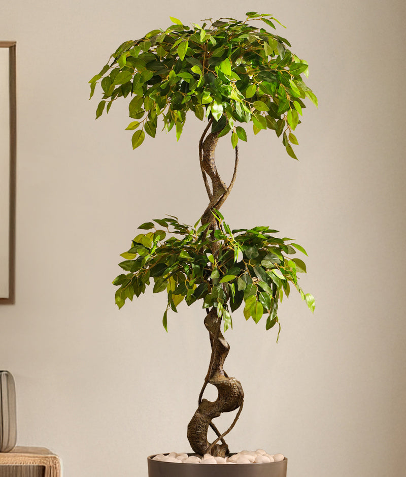 Alamkari India Fabric & Plastic Artificial Ficus Bonsai in Black Pot (150 cm)