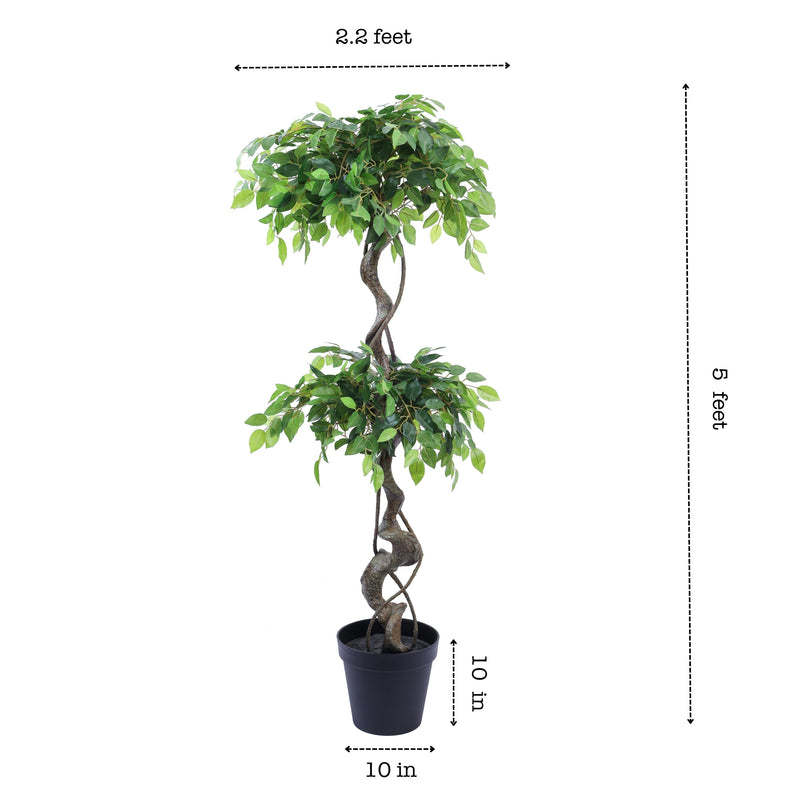Alamkari India Fabric & Plastic Artificial Ficus Bonsai in Black Pot (150 cm)