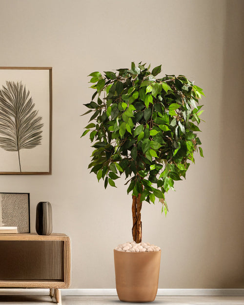 Alamkari India Fabric & Plastic Artificial Ficus Plant in Black Pot (150 cm)