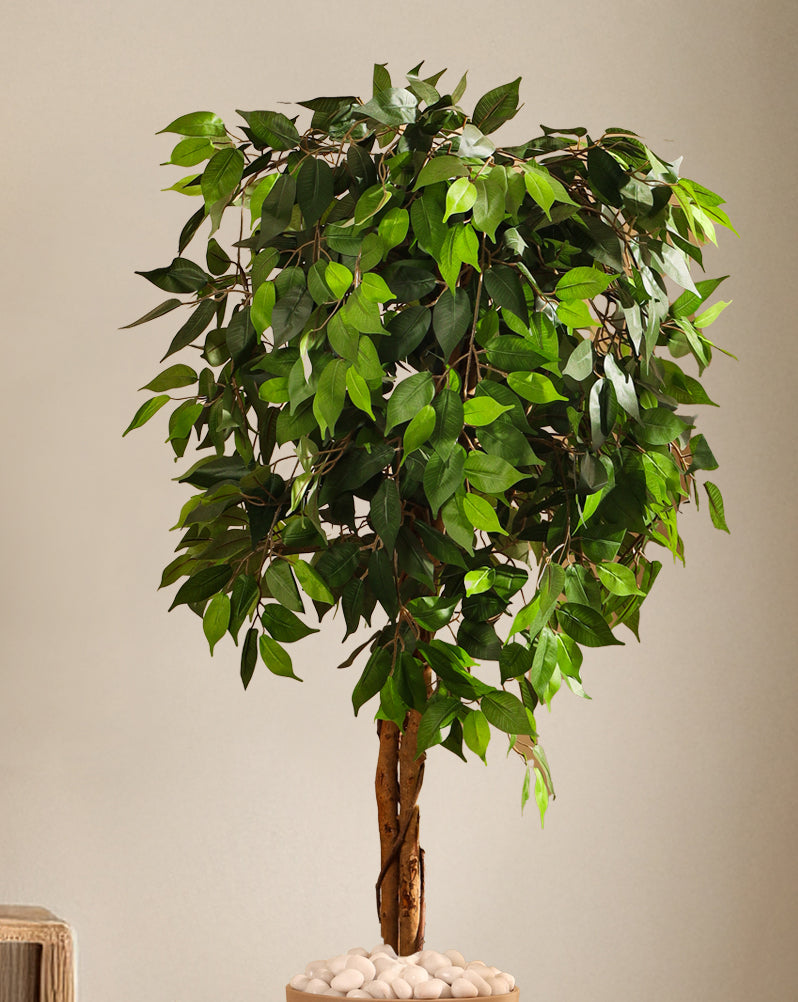 Alamkari India Fabric & Plastic Artificial Ficus Plant in Black Pot (150 cm)
