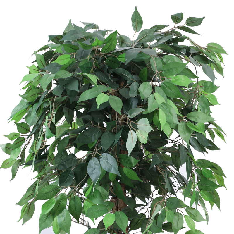 Alamkari India Fabric & Plastic Artificial Ficus Plant in Black Pot (180 cm)