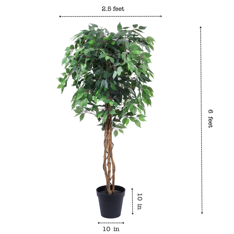 Alamkari India Fabric & Plastic Artificial Ficus Plant in Black Pot (180 cm)