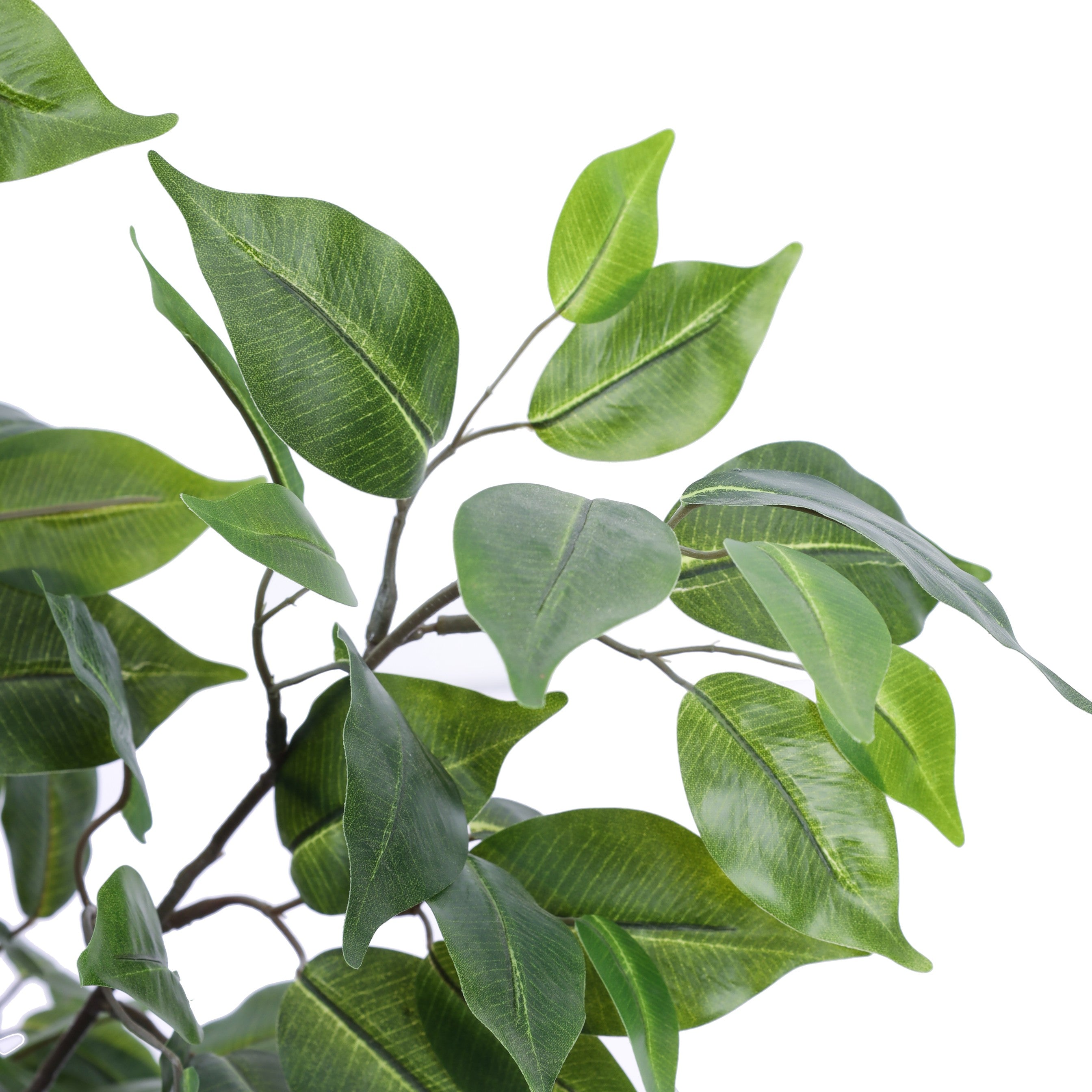 Alamkari India Fabric & Plastic Artificial Ficus Plant in Black Pot (90 cm)