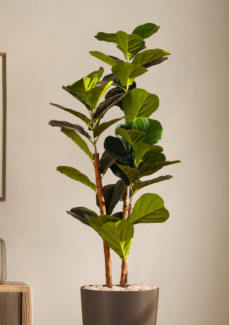 Alamkari India Fabric & Plastic Artificial Fiddle Leaf Fig Plant in Black Pot (120 cm)