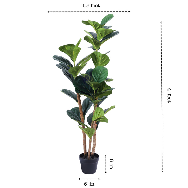 Alamkari India Fabric & Plastic Artificial Fiddle Leaf Fig Plant in Black Pot (120 cm)