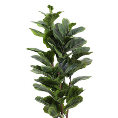 Alamkari India Fabric & Plastic Artificial Fiddle Leaf Fig Plant in Black Pot (140 cm)