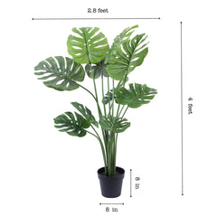 Alamkari India Fabric & Plastic Artificial Monstera Plant in Black Pot (120 cm)