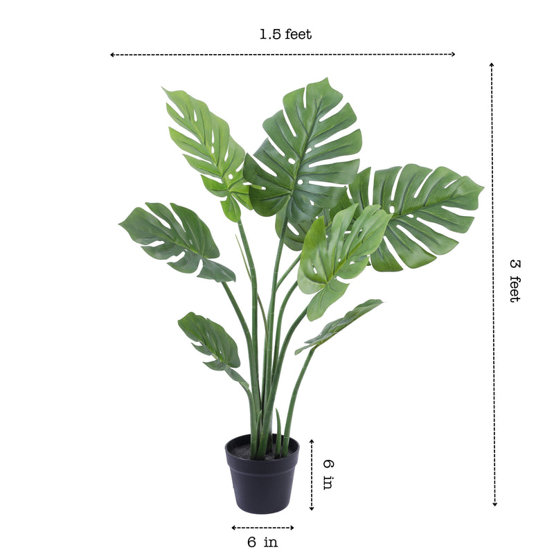 Alamkari India Fabric & Plastic Artificial Monstera Plant in Black Pot (90 cm)
